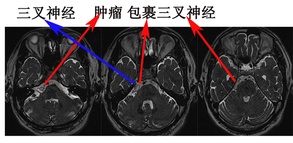 QQ圖片20220901112054_副本.png